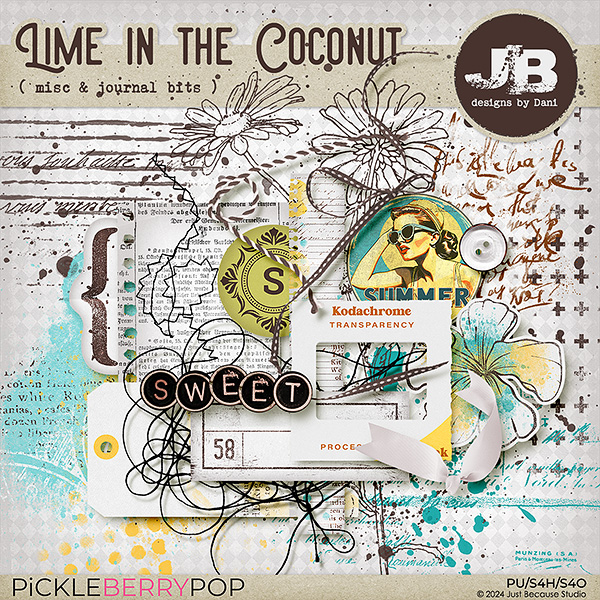 Lime In The Coconut Misc & Journal Bits by JB Studio