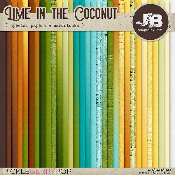 Lime In The Coconut Special Papers & Cardstocks by JB Studio