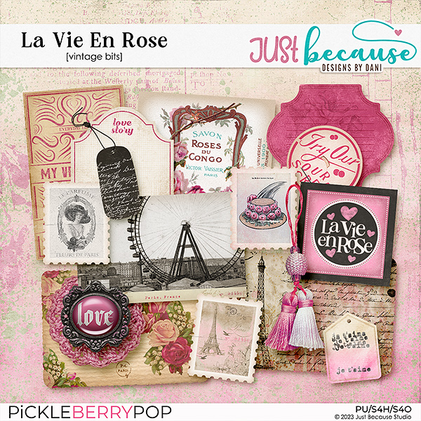 La Vie En Rose Vintage Bits by JB Studio