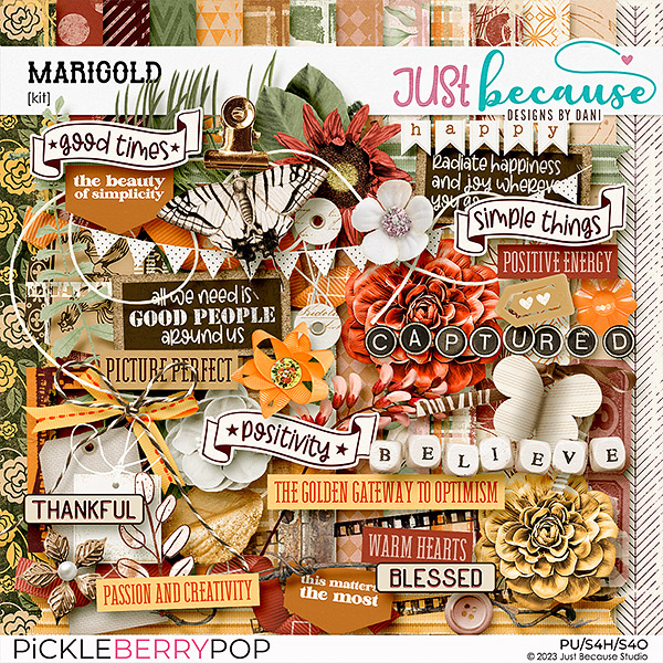 Marigold Kit by JB Studio