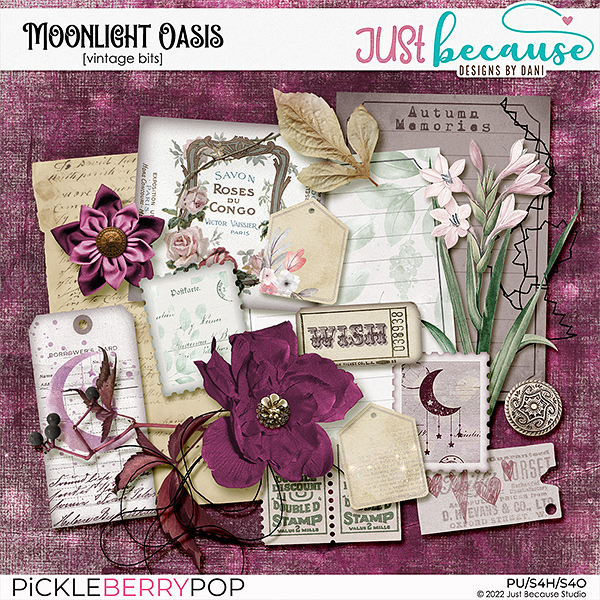 Moonlight Oasis Vintage Bits by JB Studio