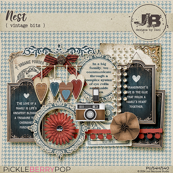 Nest Vintage Bits by JB Studio