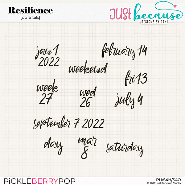 Resilience Date Bits by JB Studio