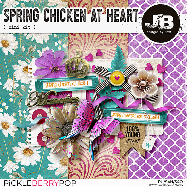 Spring Chicken At Heart Mini Kit by JB Studio