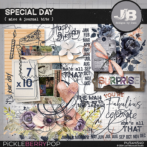 Special Day Misc & Journal Bits by JB Studio