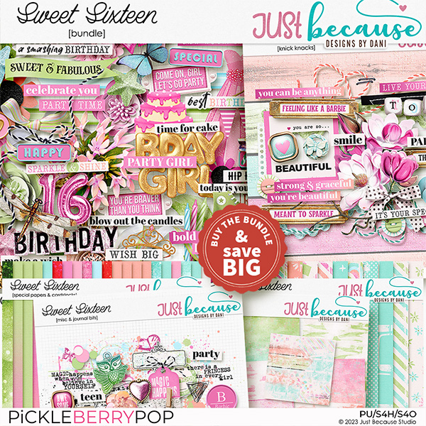 Sweet Sixteen Bundle by JB Studio