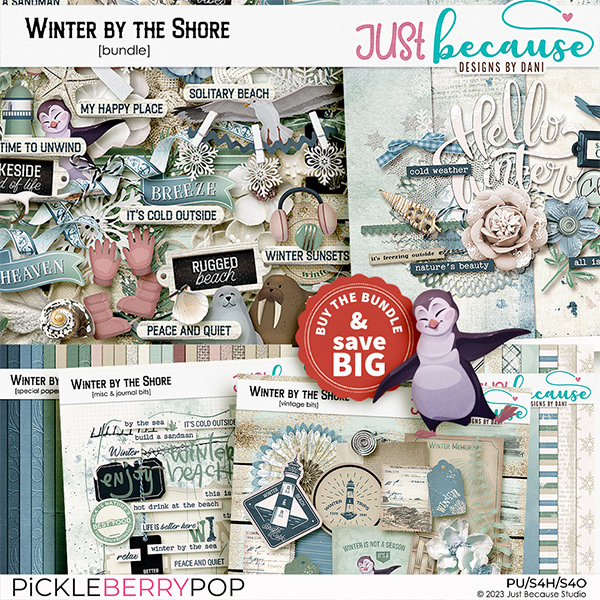 Winter by the Shore Bundle by JB Studio