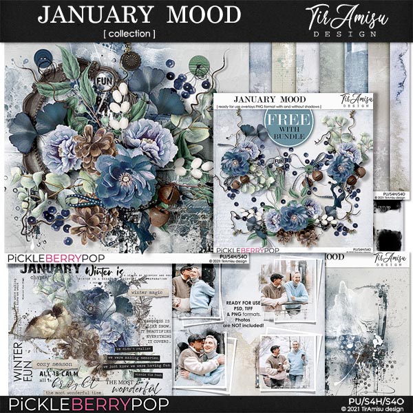 January Mood ~ Bundle by TirAmisu design