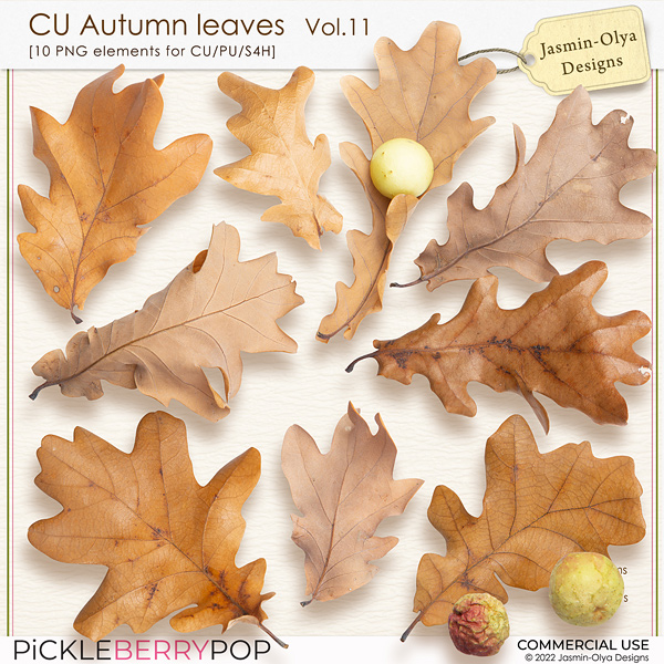 CU Autumn Leaves Vol.11 (Jasmin-Olya Designs)