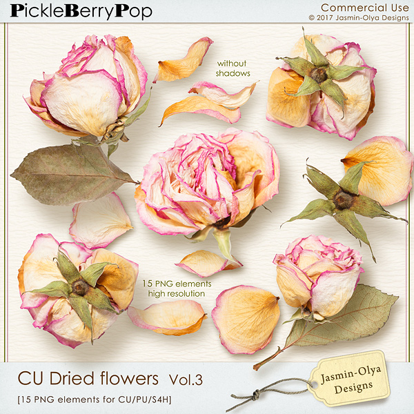 CU Dried flowers Vol.3 (Jasmin-Olya Designs)