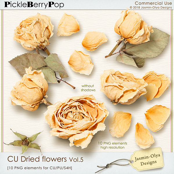 CU Dried flowers Vol.5 (Jasmin-Olya Designs)