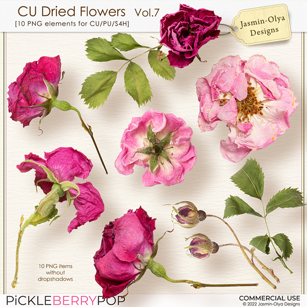 CU Dried flowers Vol.7 (Jasmin-Olya Designs)