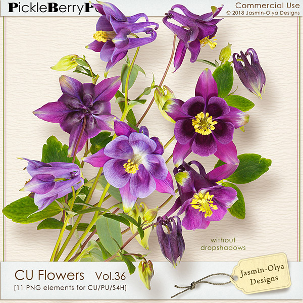 CU Flowers Vol.36 (Jasmin-Olya Designs)