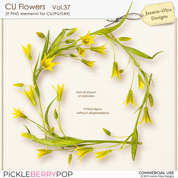 CU Flowers Vol.37 (Jasmin-Olya Designs)