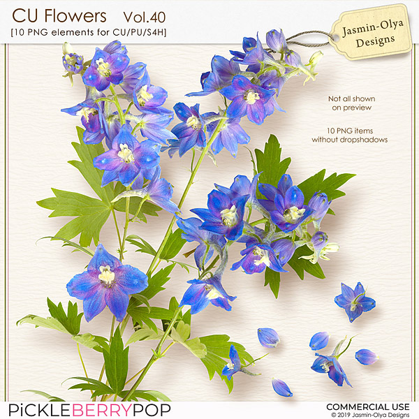 CU Flowers Vol.40 (Jasmin-Olya Designs)