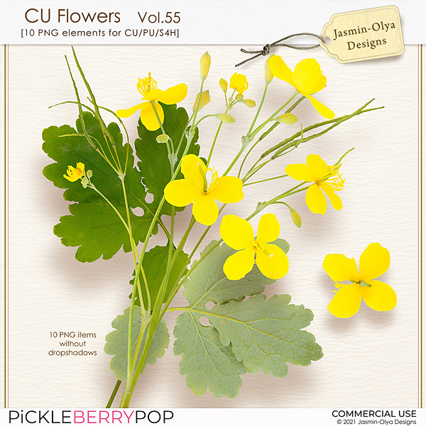 CU Flowers Vol.55 (Jasmin-Olya Designs)