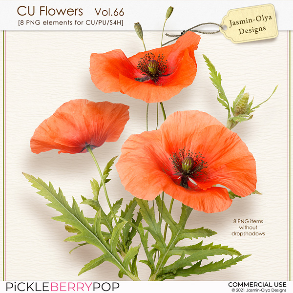 CU Flowers Vol.66 (Jasmin-Olya Designs)