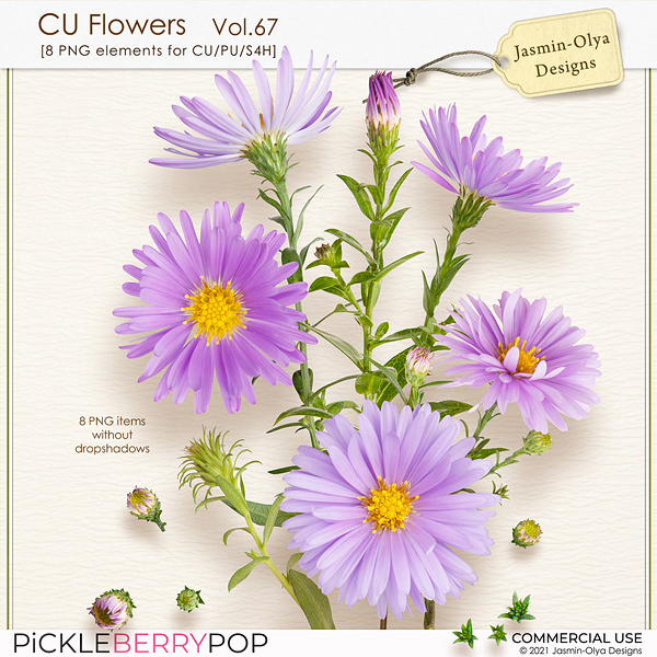 CU Flowers Vol.67 (Jasmin-Olya Designs)