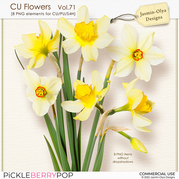 CU Flowers Vol.71 (Jasmin-Olya Designs)