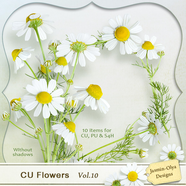 CU Flowers Vol.10 (little camomiles)