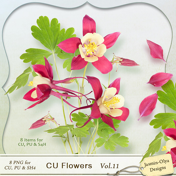 CU Flowers Vol.11 (Jasmin-Olya Designs)