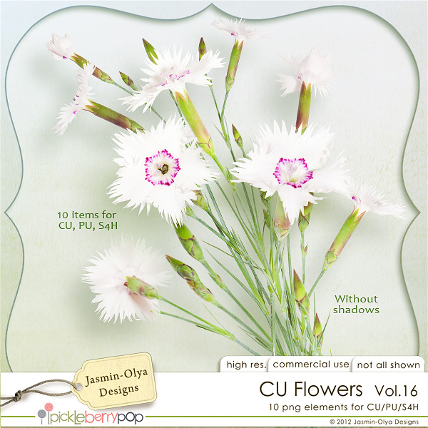 CU Flowers Vol.16 (Jasmin-Olya Designs)