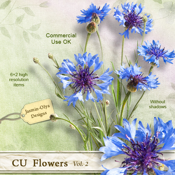 CU Flowers Vol.2 (cornflower)