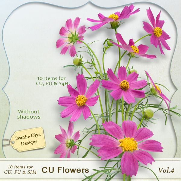 CU Flowers Vol.4