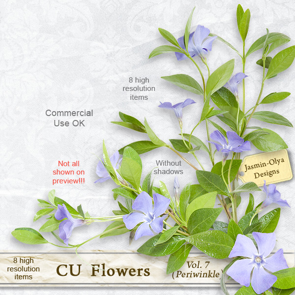 CU Flowers Vol.7 (periwinkle)