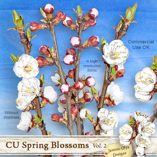 CU Spring Blossoms Vol.2 (apricot)