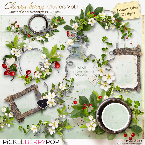 Cherry-berry - Clusters Vol.1 (Jasmin-Olya Designs)