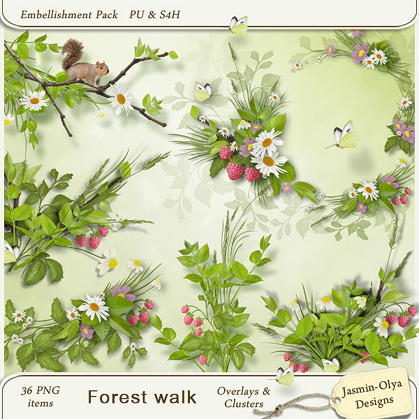 Forest Walk - Overlays and Clusters