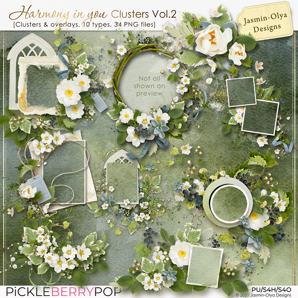 Harmony in you - Clusters Vol.2 (Jasmin-Olya Designs)