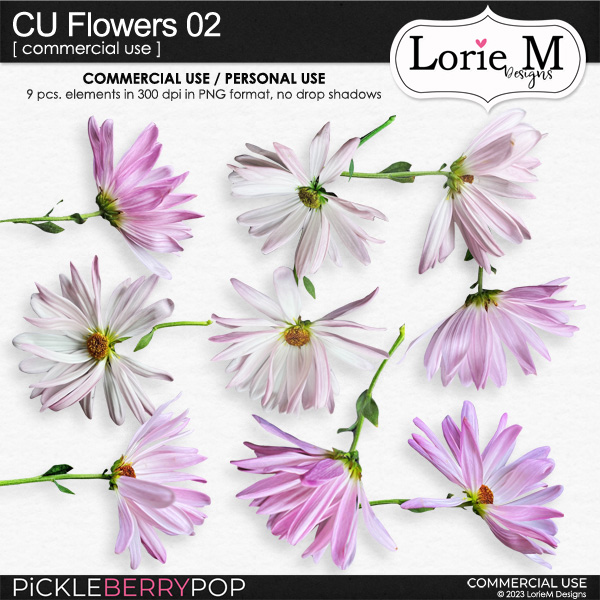 CU Flowers 02