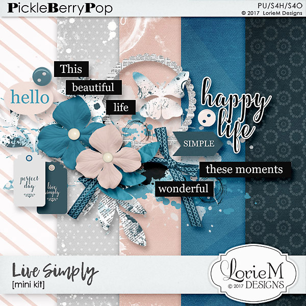 Live Simply Mini Kit