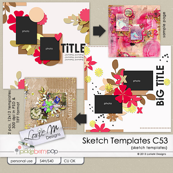 CU Sketch Templates C53