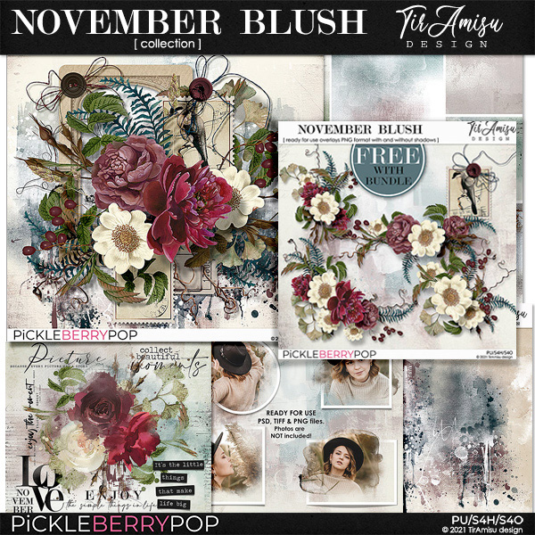 November Blush ~ Bundle Plus Free Gift