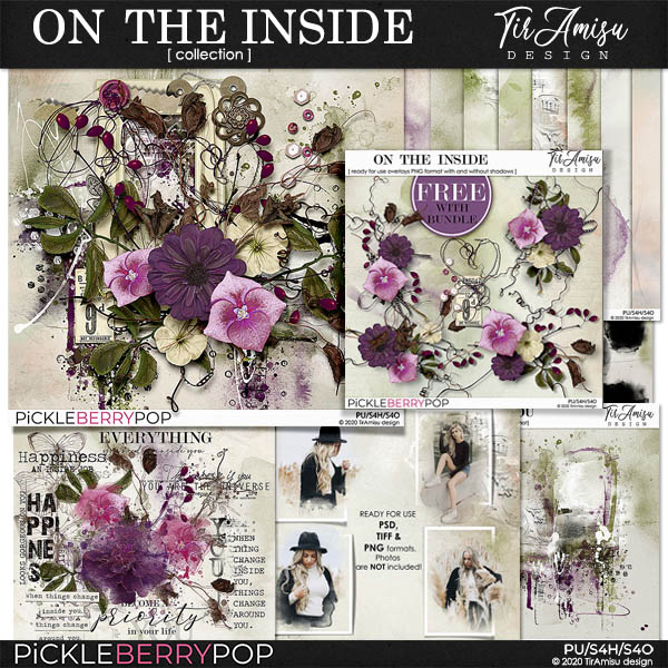 On The Inside ~ Bundle Plus Free Gift by TirAmisu design 