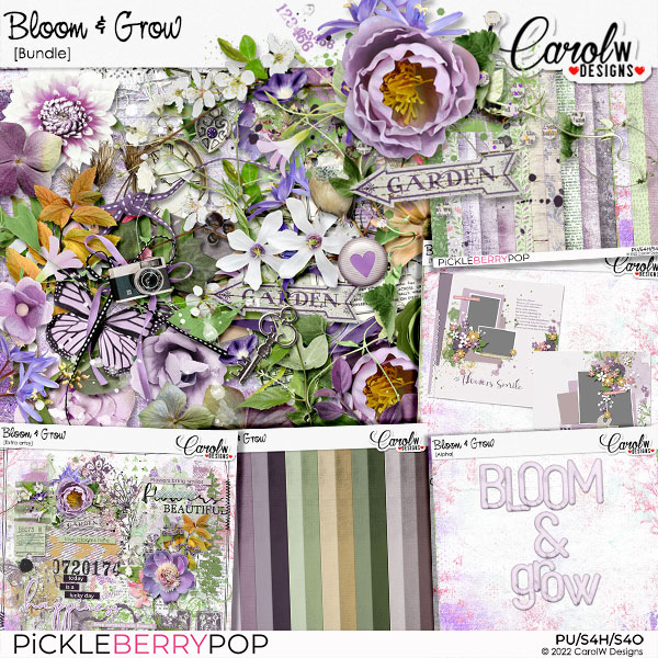 Bloom & Grow-Bundle