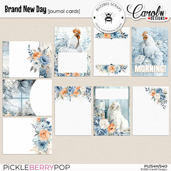 Brand New Day Collab-Journal Cards