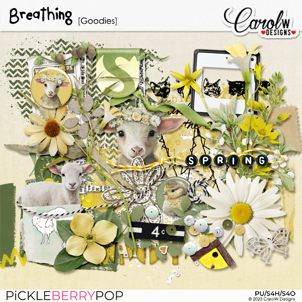 Breathing-Goodies