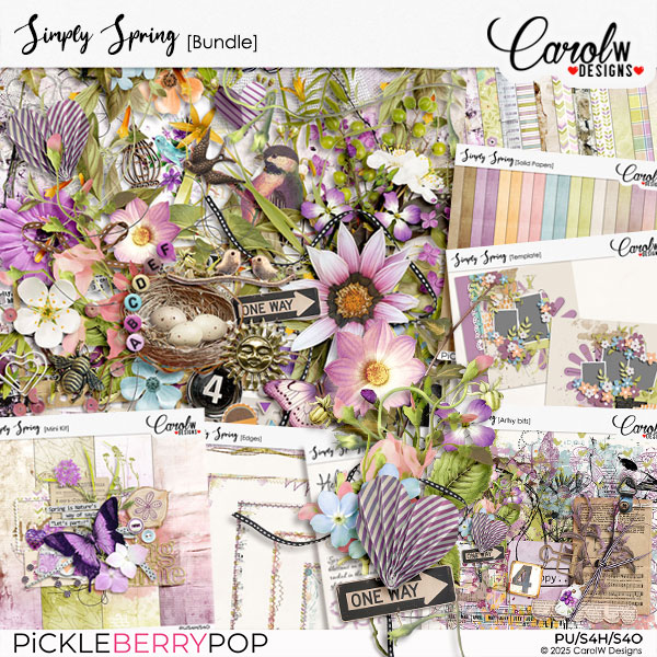 Simply Spring-Bundle