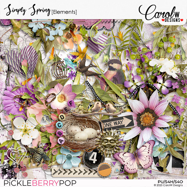 Simply Spring-Elements