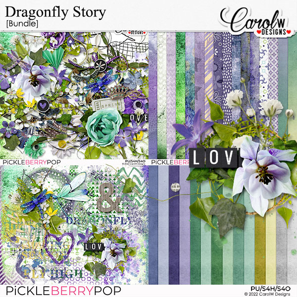 Dragonfly Story-Bundle