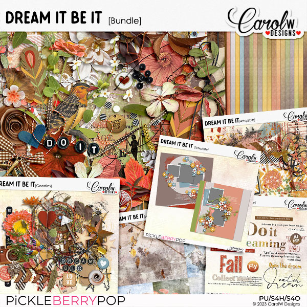 Dream It Be It-Bundle