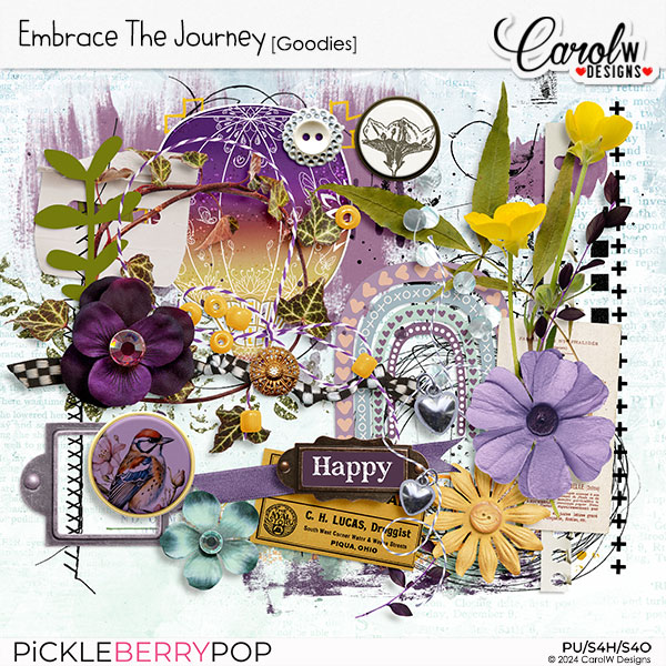 Embrace the Journey-Goodies