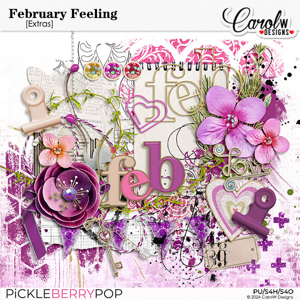 February Feeling-Extras