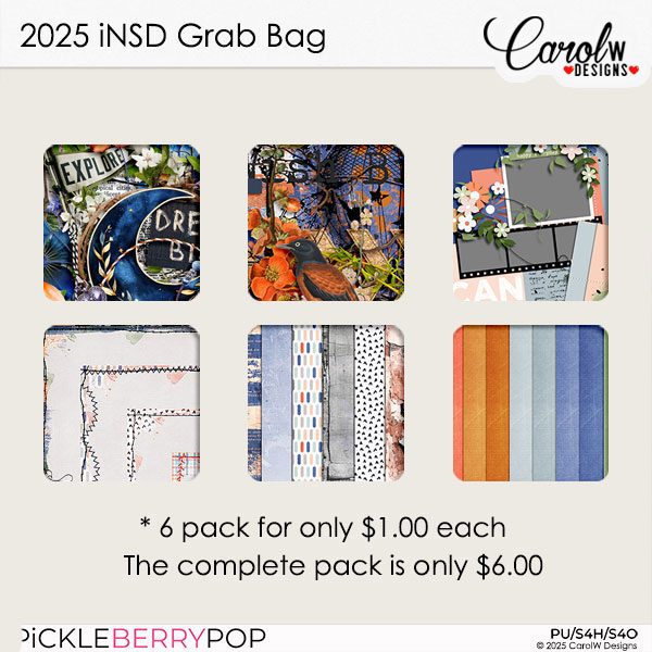 2025 iNSD Grab Bag-"Dare to Dream"