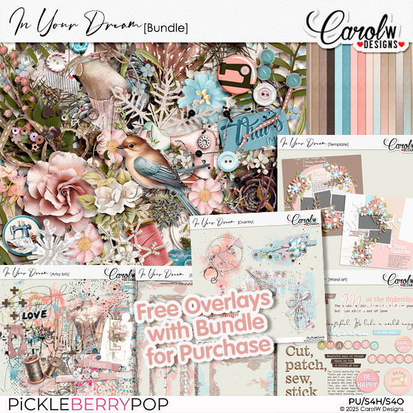 In Your Dream-Bundle+Free Overlay