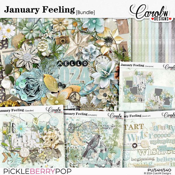 January Feeling-Bundle